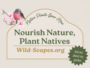Nourish Nature, Plant Natives | Pink Blossoms V2