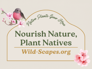 Nourish Nature, Plant Natives | Pink Blossoms