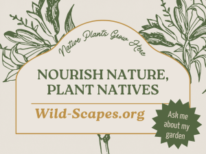 Nourish Nature, Plant Natives | Botanical
