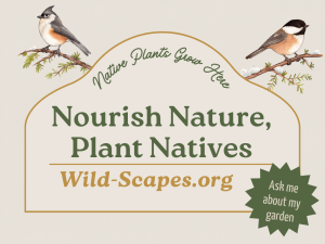 Nourish Nature, Plant Natives | Tufted Titmouse and Black Capped Chickadee