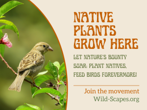 A sign reading, "Native Plants Grow Here. Let Nature's Bounty Soar: Plant Natives, Feed Birds Forevermore!"