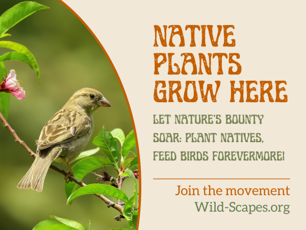 A sign reading, "Native Plants Grow Here. Let Nature's Bounty Soar: Plant Natives, Feed Birds Forevermore!"