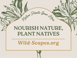 Nourish Nature, Plant Natives | Botanical V2