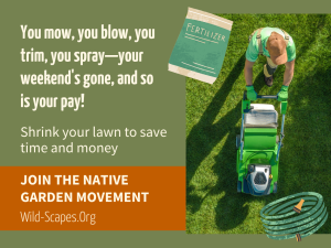 Shrink Your Lawn to Save Time and Money