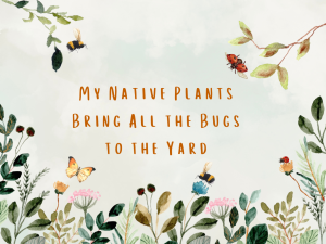 My Native Plants Bring All the Bugs to the Yard