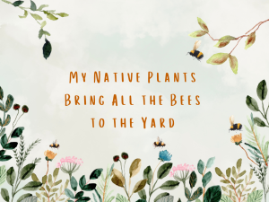 My Native Plants Bring All the Bees to the Yard