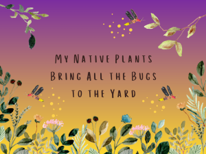My Native Plants Bring All the [Lightning]bugs to the Yard