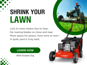 Less to Mow Means Less to Hear V2