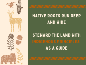 Native Roots Run Deep and Wide V3